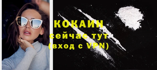сатива Новодвинск