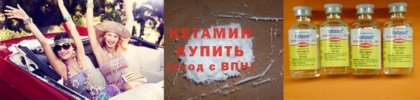 сатива Новодвинск