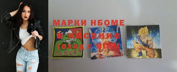 сатива Новодвинск