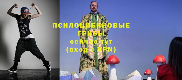 MDMA Новозыбков