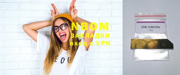 сатива Новодвинск
