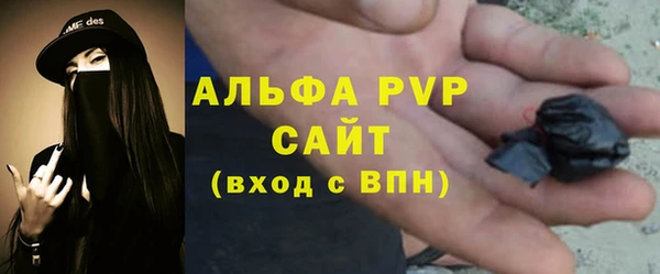 сатива Новодвинск