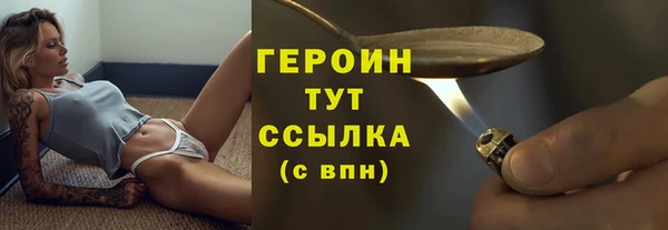 сатива Новодвинск