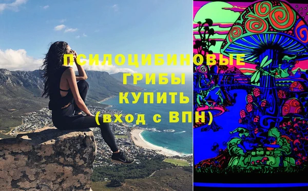 MDMA Новозыбков