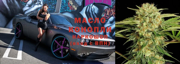 прущие грибы Верхний Тагил