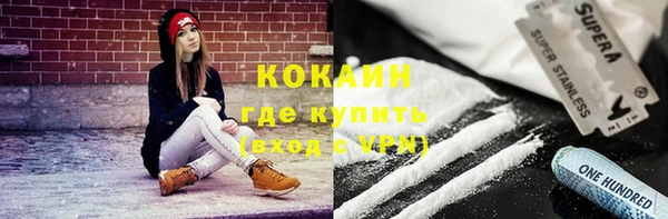 сатива Новодвинск