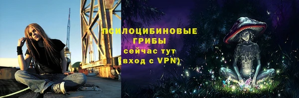 сатива Новодвинск