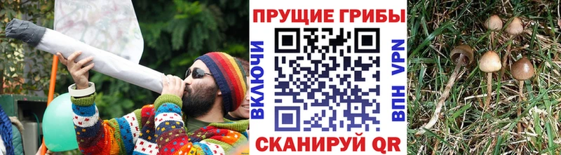 Псилоцибиновые грибы мухоморы Прохладный