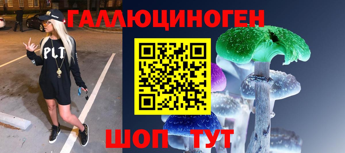 Галлюциногенные грибы Psilocybe  где купить наркоту  Прохладный  Вход с VPN  Псилоцибиновые грибы прущие грибы 