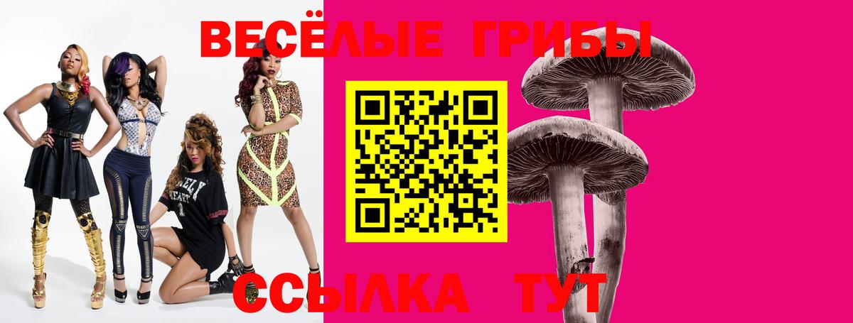 Псилоцибиновые грибы мицелий Прохладный